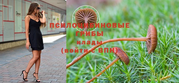PSILOCYBIN Лагань