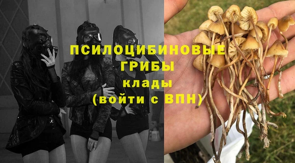 кокс Абаза