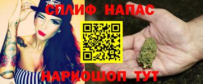 PSILOCYBIN Новокубанск