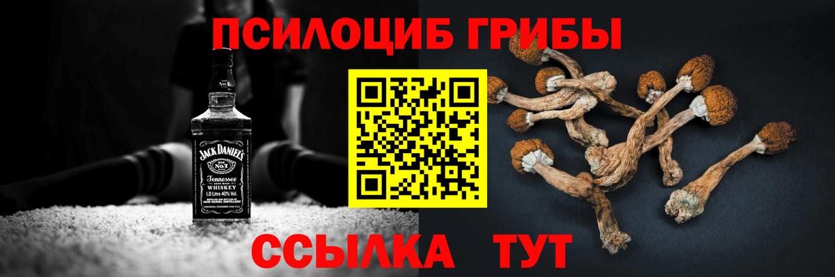 Псилоцибиновые грибы MAGIC MUSHROOMS Подольск